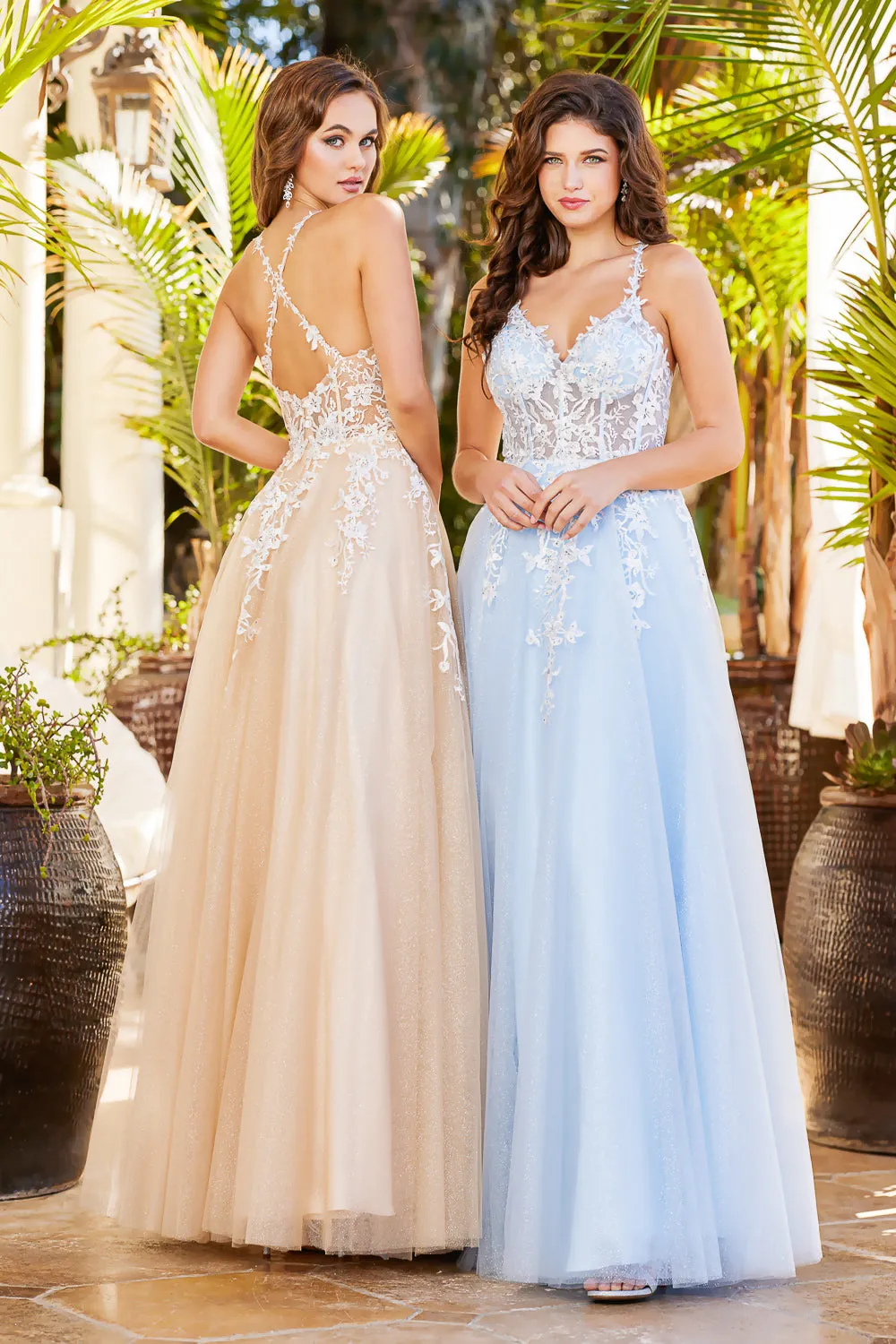 AD 3089 - A-Line Lace Embellished Prom Gown With Sheer Bodice & Open Back