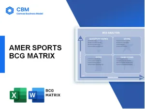 AMER SPORTS BCG MATRIX