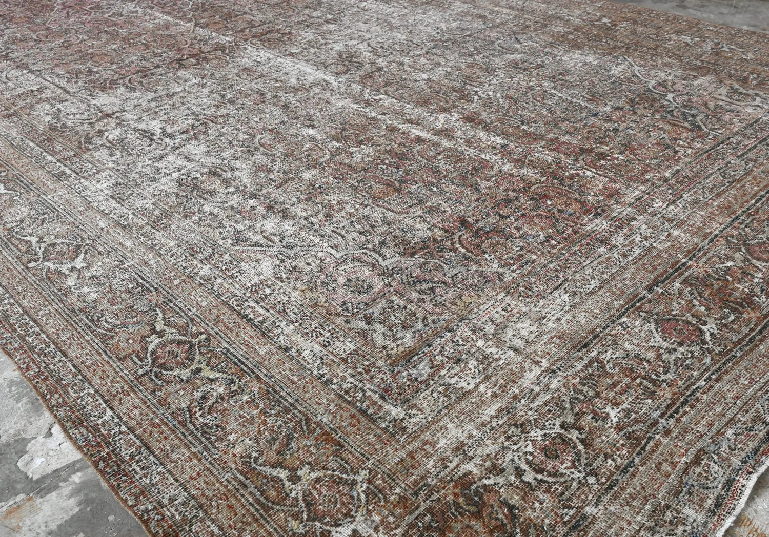 Bellosa (8x18)