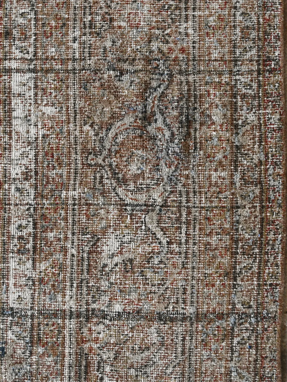 Bellosa (8x18)