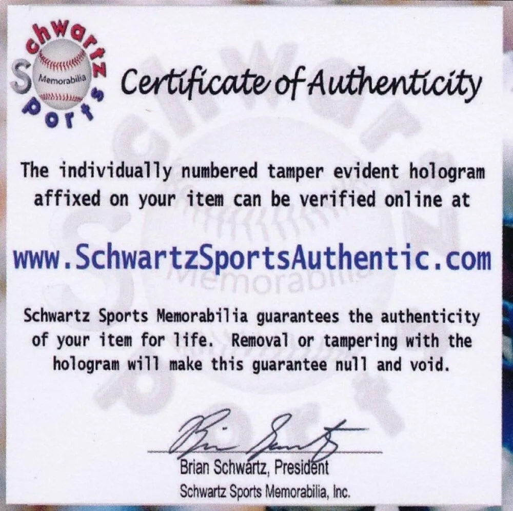 Billy Williams Signed OML Baseball (Schwartz COA) Hall of Fame 1987 Chicago Cubs