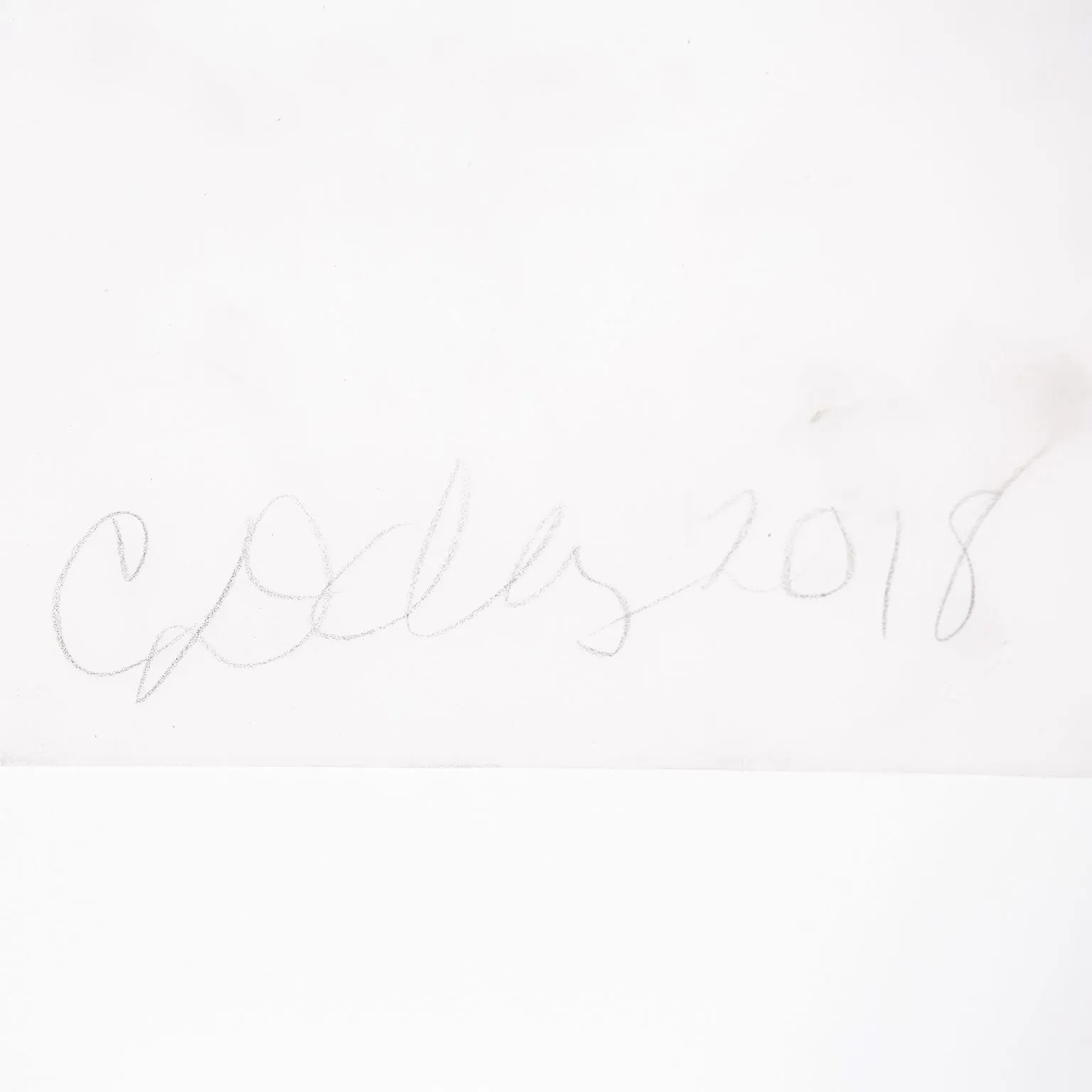 CATHY DALEY "RUFFLES" OIL PASTEL ON VELLUM, 2018