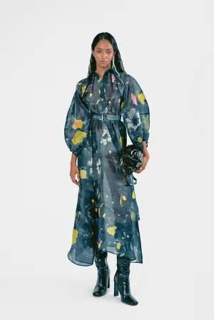 Celestial Dress