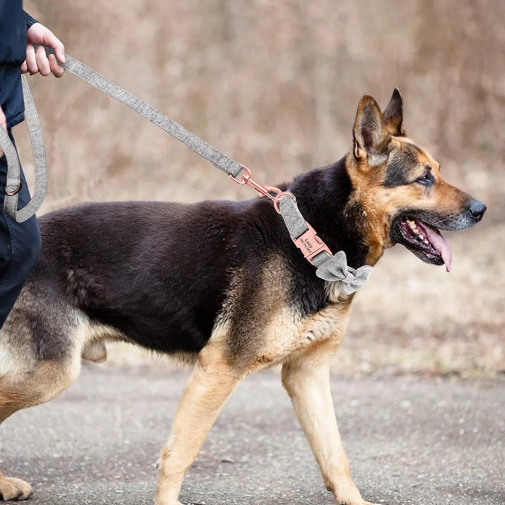 Classy Bow And Leash Set: Personalized Collar And Leash
