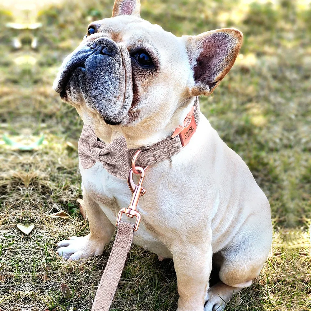 Classy Bow And Leash Set: Personalized Collar And Leash