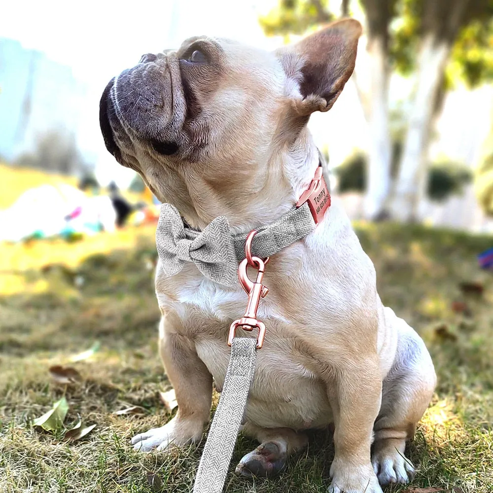 Classy Bow And Leash Set: Personalized Collar And Leash