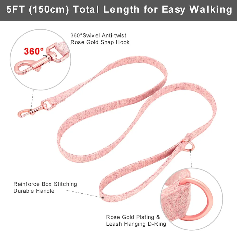 Classy Bow And Leash Set: Personalized Collar And Leash