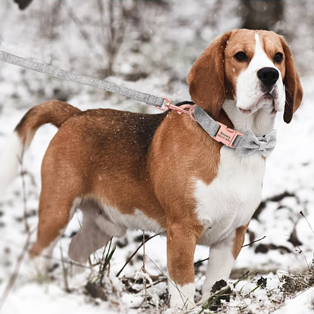 Classy Bow And Leash Set: Personalized Collar And Leash