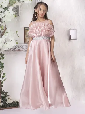 Delicate Blossom Light Pink Gown for Girls