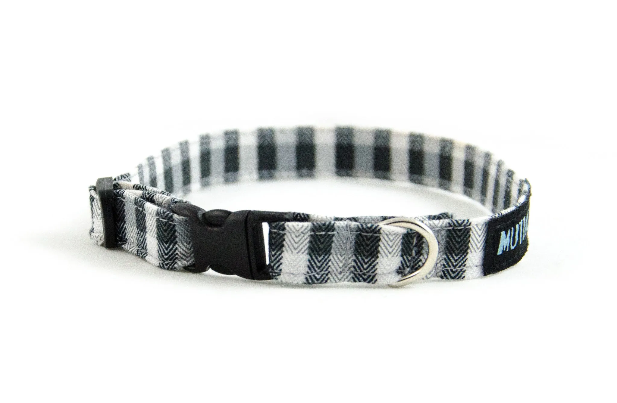 Extra Small Dog Collar in Sully