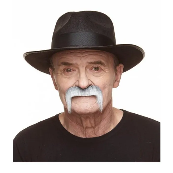 Grey Walrus Moustache