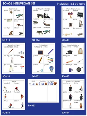 Intermediate Sorting Set