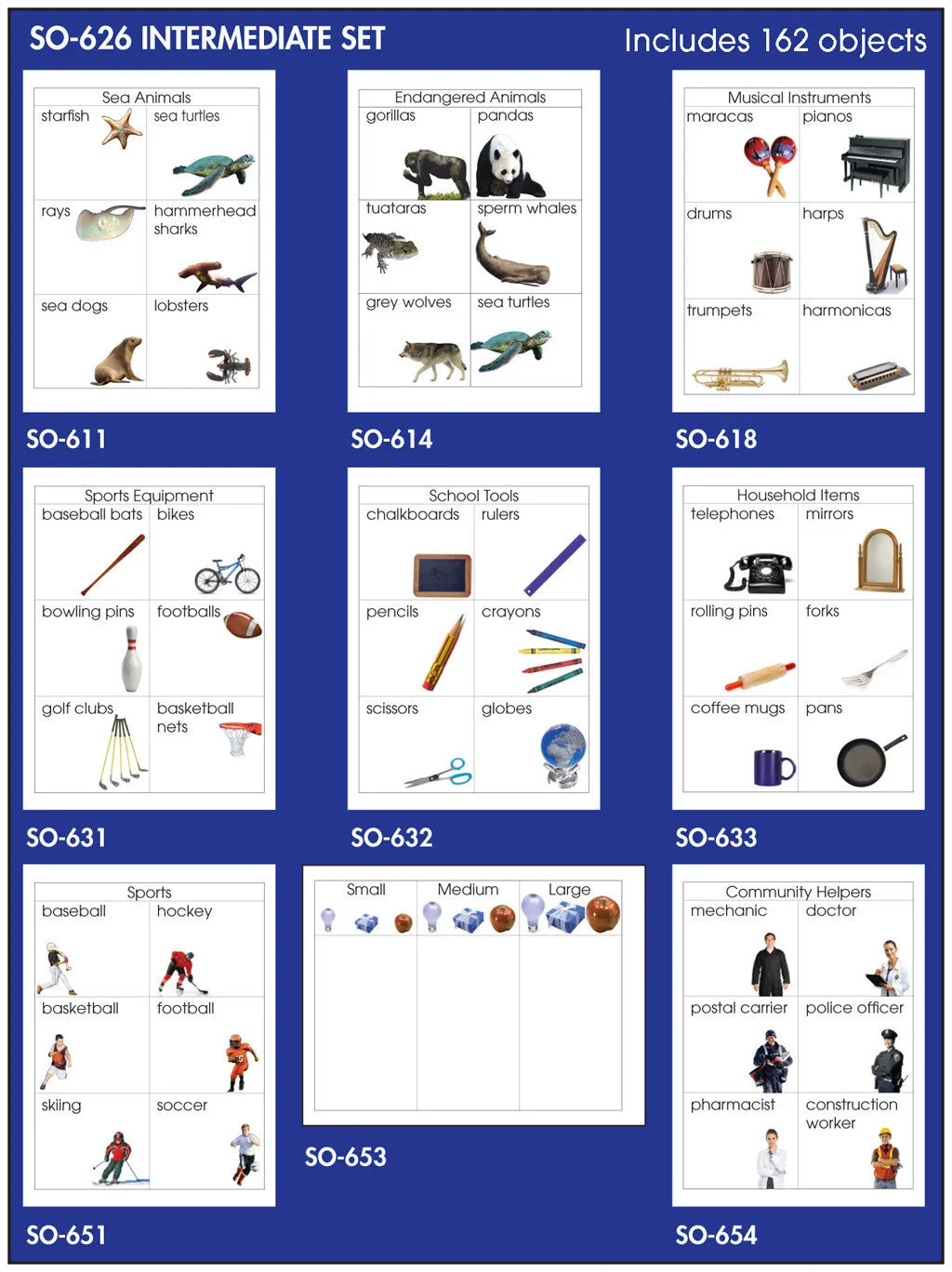 Intermediate Sorting Set