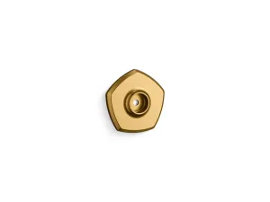 KOHLER K-27055 Occasion Slidebar trim kit