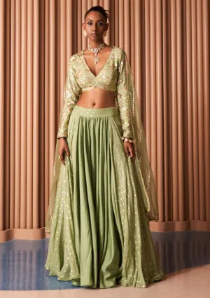 Mint green sheer swift lehenga set