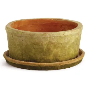 Napa Home Garden, TC WHT LOW POT W SAUCR MOSS FNSH LG,2356lw