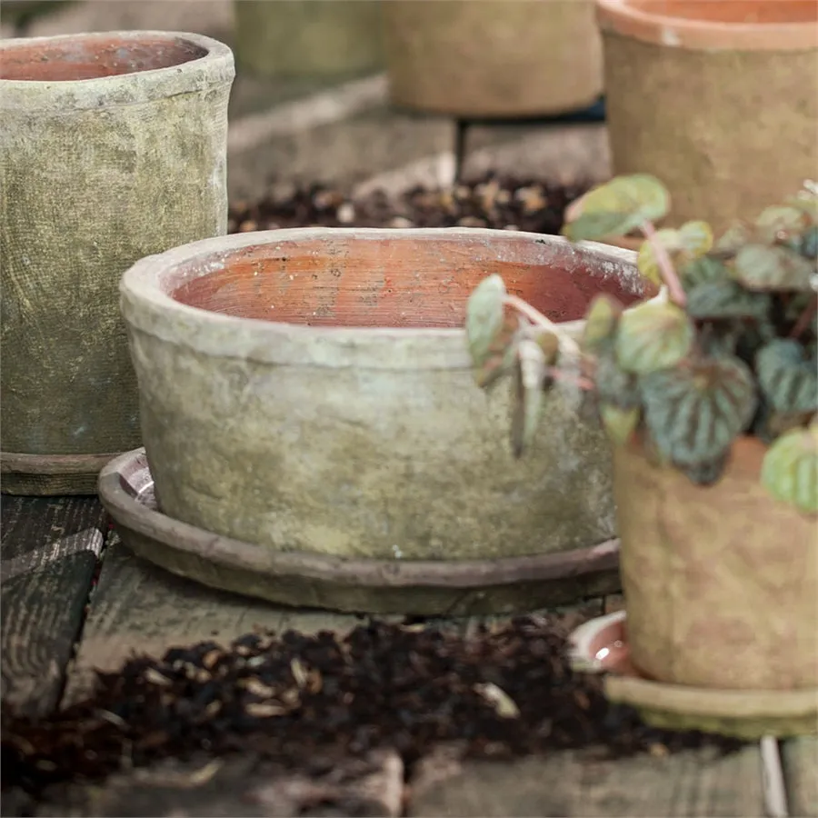Napa Home Garden, TC WHT LOW POT W SAUCR MOSS FNSH LG,2356lw