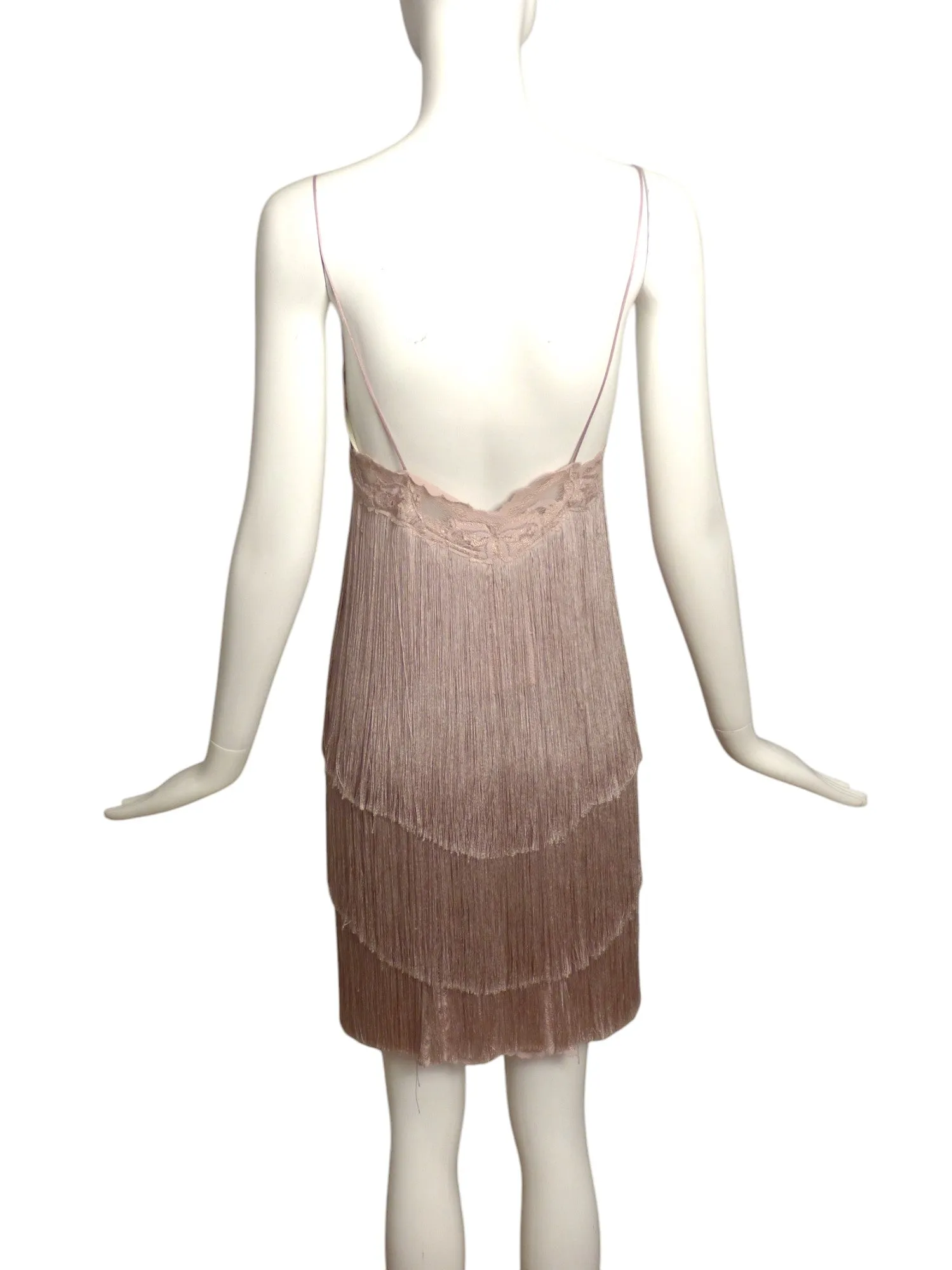 OLVI'S- NWT Lilac Fringe Slip Dress, Size 6