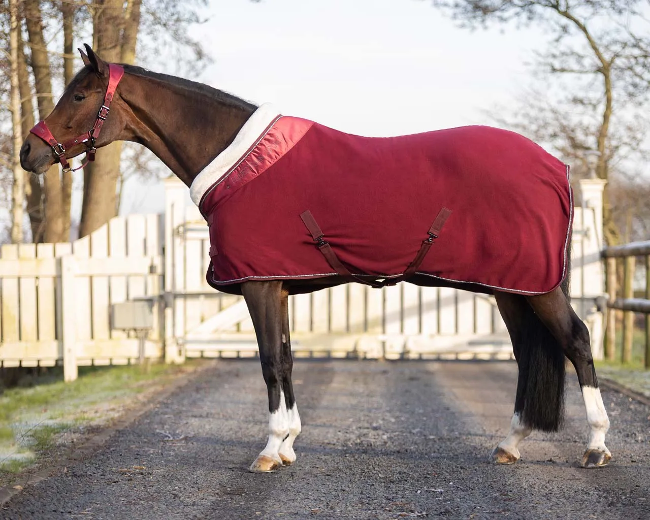 QHP Fleece Rug "Gloss"