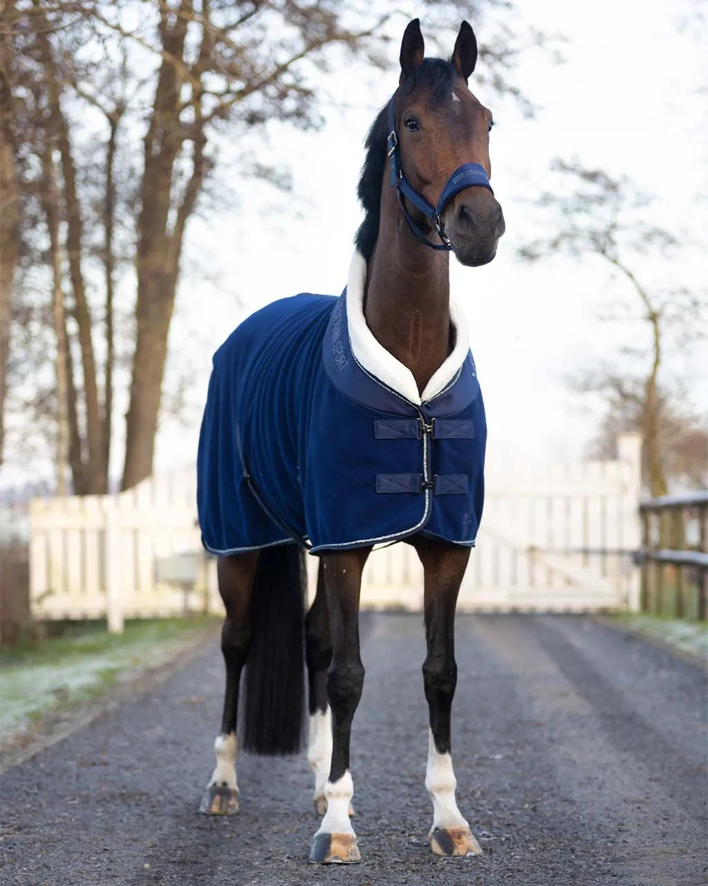 QHP Fleece Rug "Gloss"