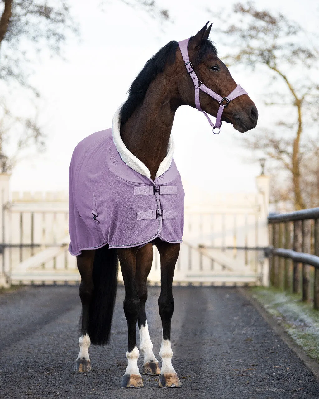 QHP Fleece Rug "Gloss"