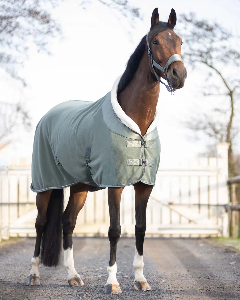 QHP Fleece Rug "Gloss"