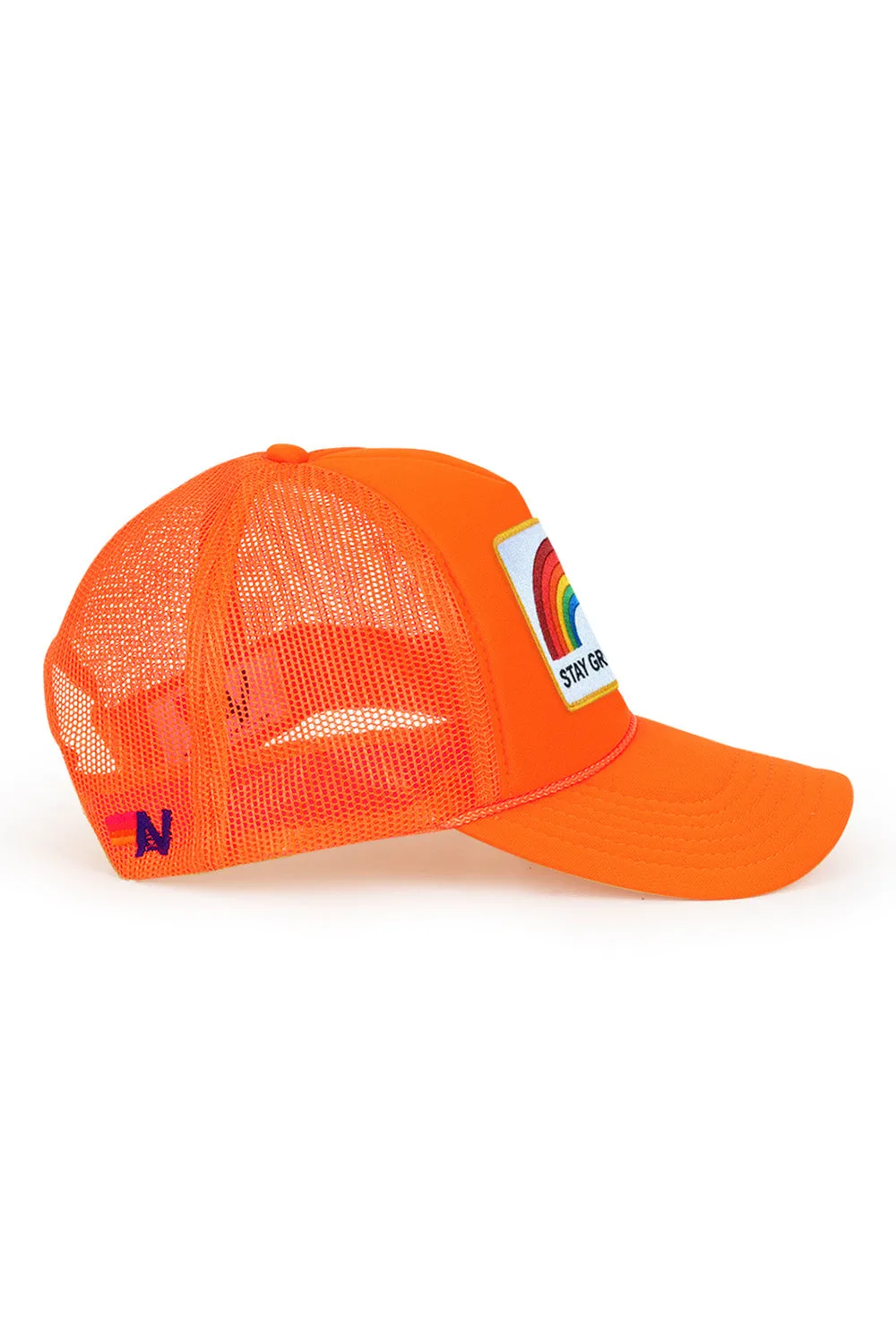 STAY GROUNDED TRUCKER HAT