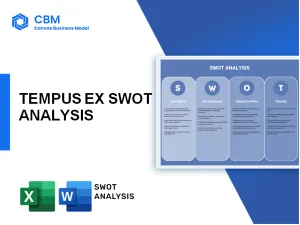TEMPUS EX SWOT ANALYSIS
