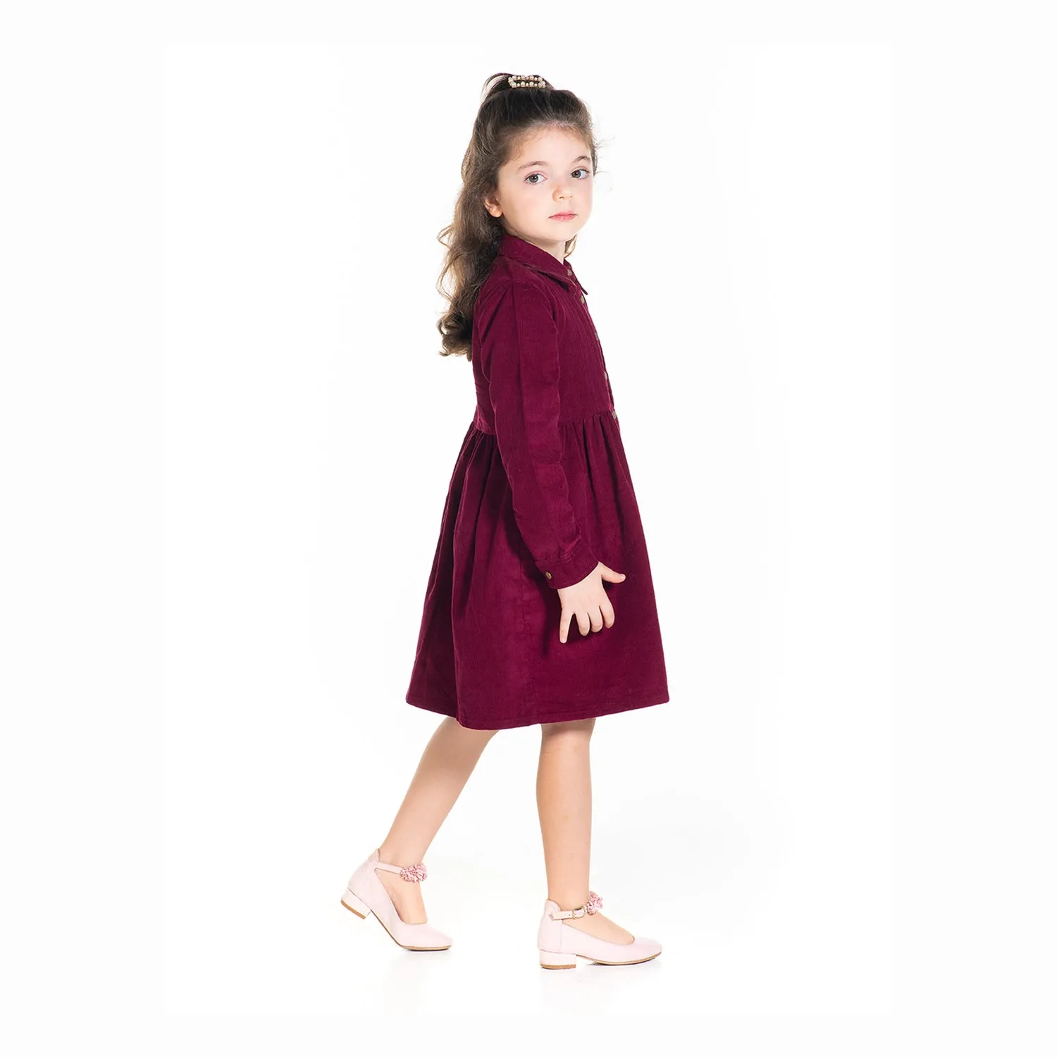 Vineyard Collared Dress