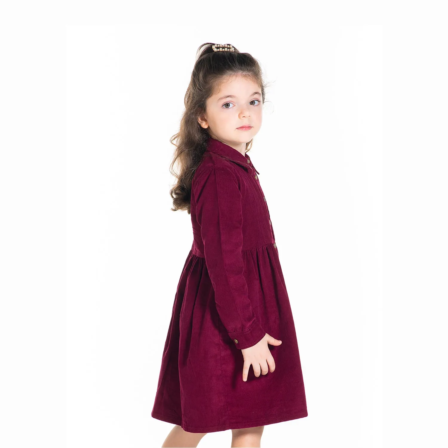 Vineyard Collared Dress