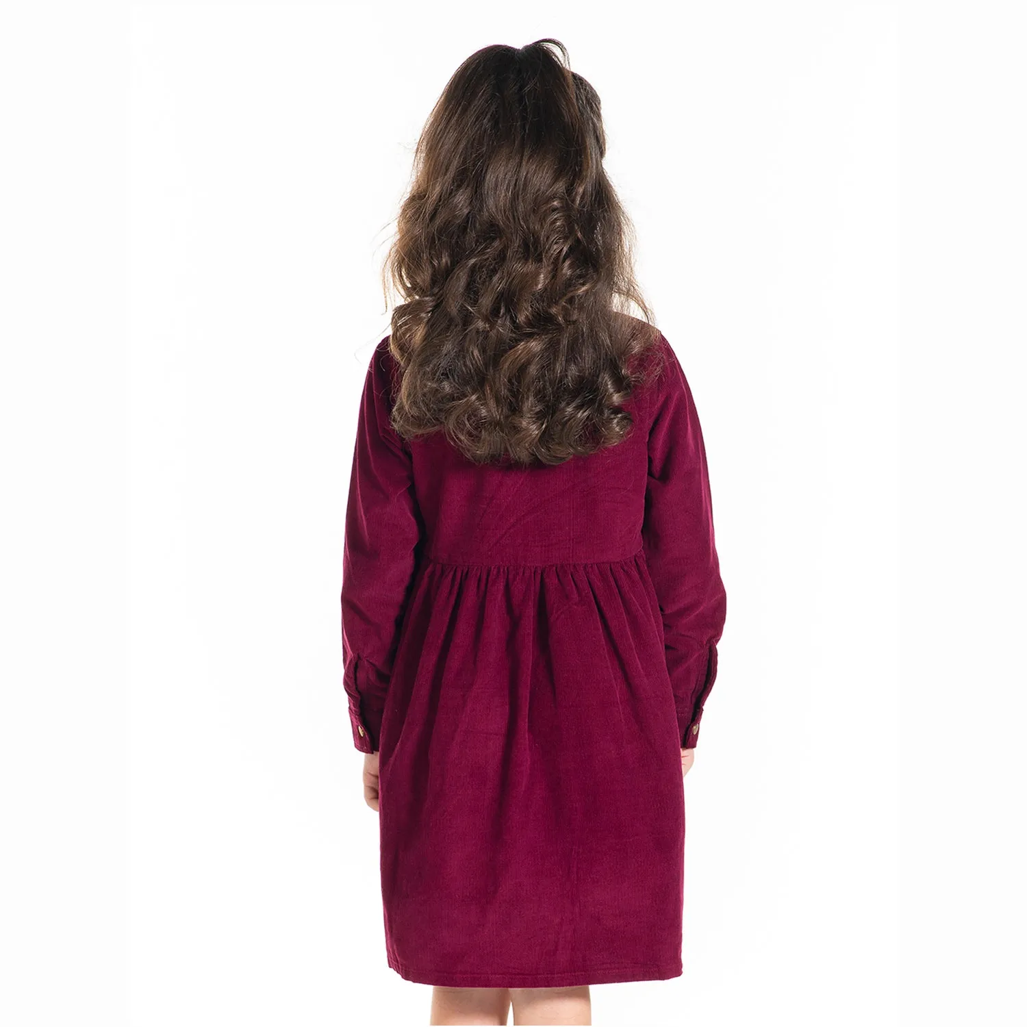 Vineyard Collared Dress